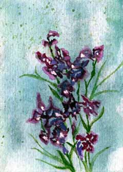 "Alan's Irises" by Joanne Murphy-Herwig, Oshkosh WI - Watercolor